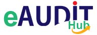 eAUDITHub Logo